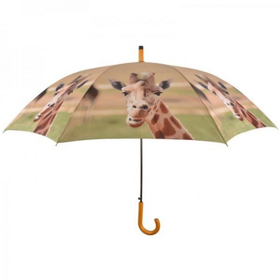Zsiráfos esernyő
